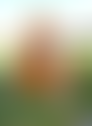 Kürbistag bei ElbeHerz