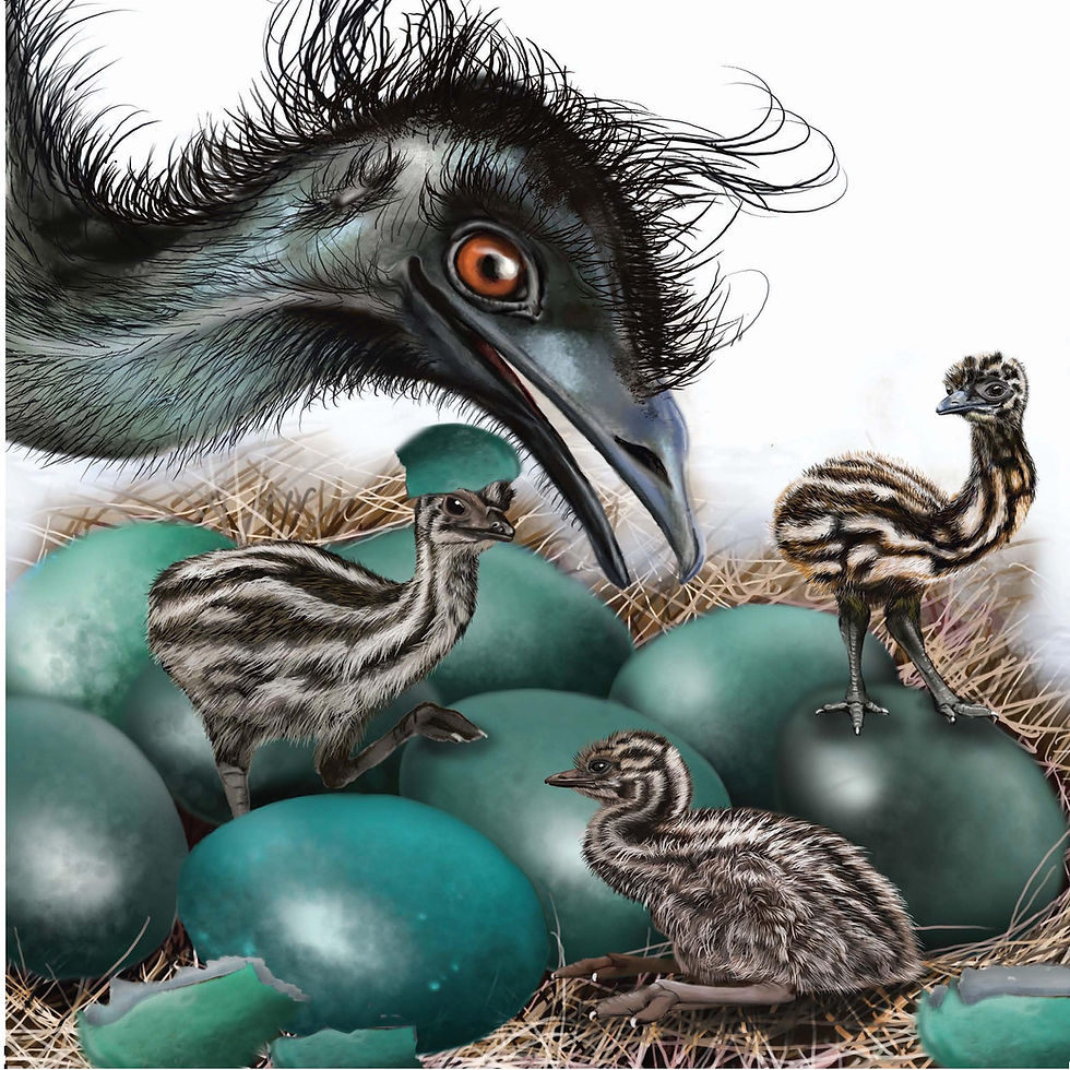 Thumbnail: AUSTRALIANA GREETING CARD - Emu Family