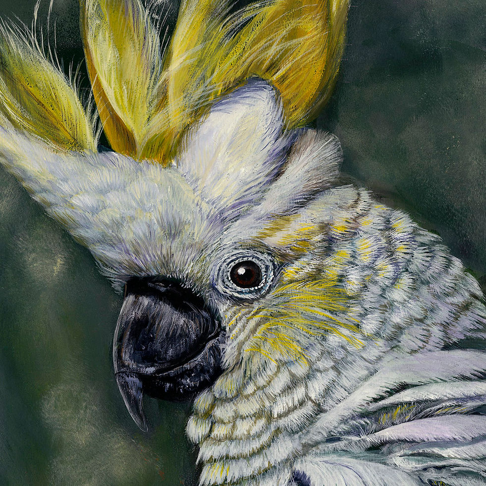 Thumbnail: LIMITED EDITION PRINT - G'Day
