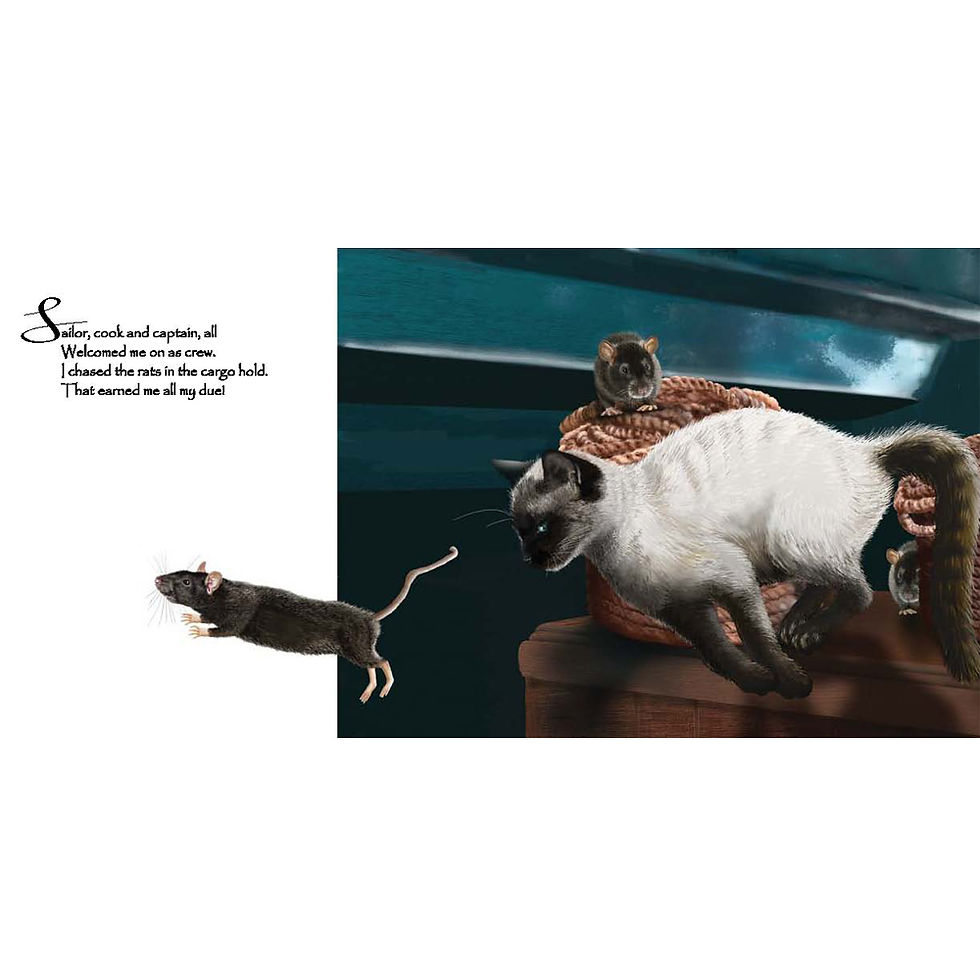 Thumbnail: THE SEA CAT DREAMS