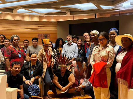 Expert Mechanism on the Rights of Indigenous Peoples (EMRIP) participation