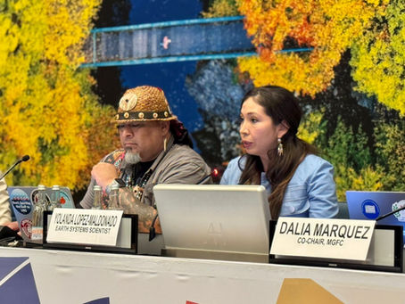 UN Environment Assembly (UNEA7) and GEO-7