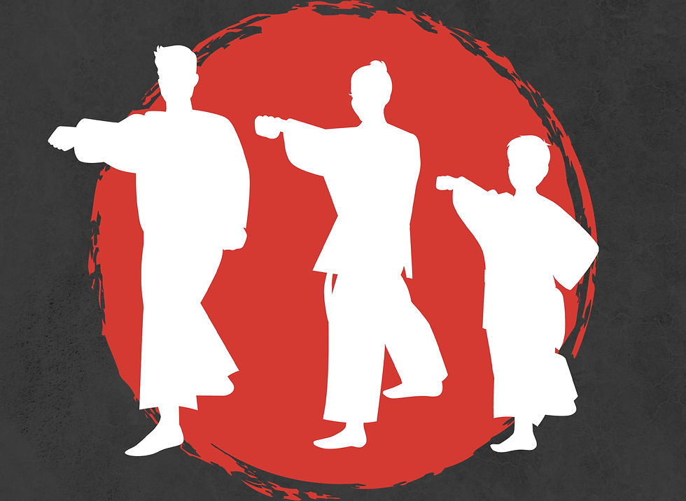 silhouette of a family doing a karate drill