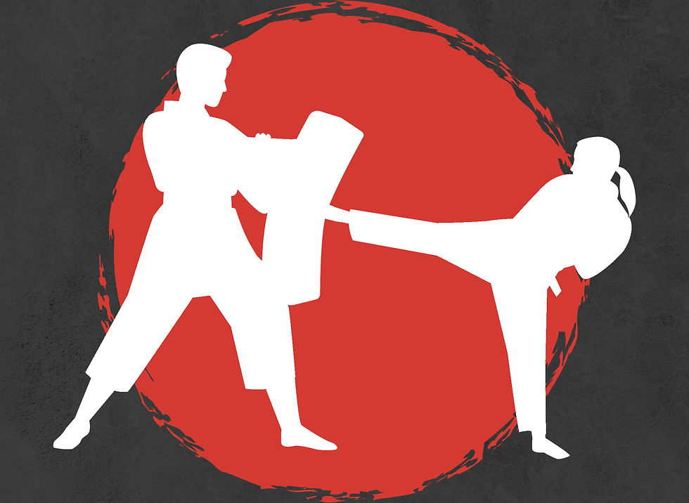 silhouette of a karate instructor and student kicking