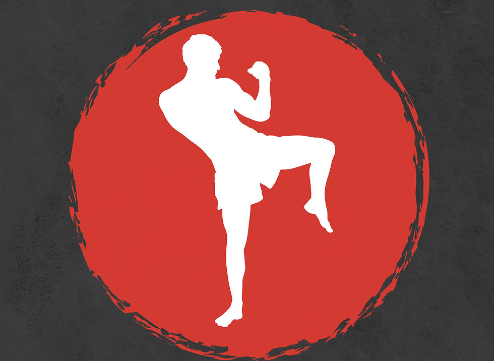 silhouette of a man with his leg raised in a kick
