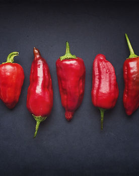 Red Chili Pods