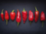 Red Chili Pods