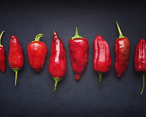 Red Chili Pods