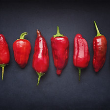 Red Chili Pods