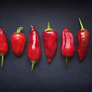 Red Chili Pods