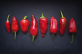 Red Chili Pods