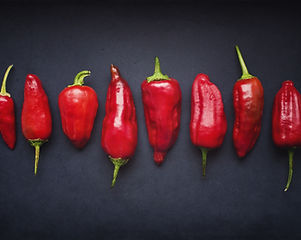 Red Chili Pods