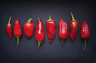 Vida Seasoning