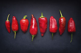 Red Chili Pods
