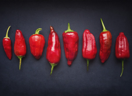 Chili Fest 24 March 2019