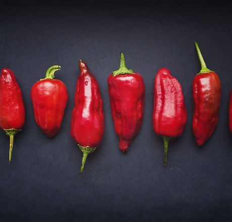Red Chili Pods