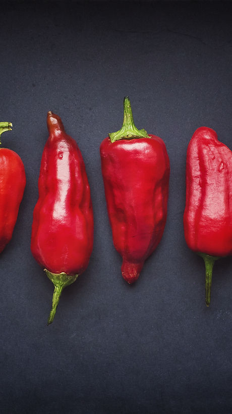 Red Chili Pods
