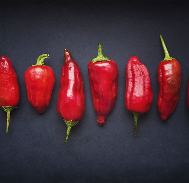 Red Chili Pods