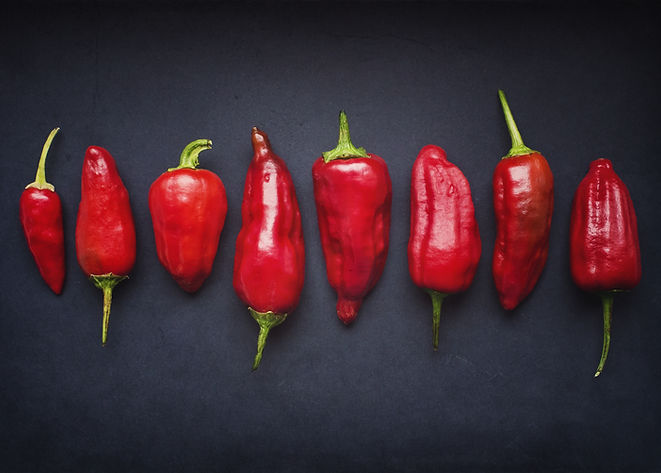 Red Chili Pods