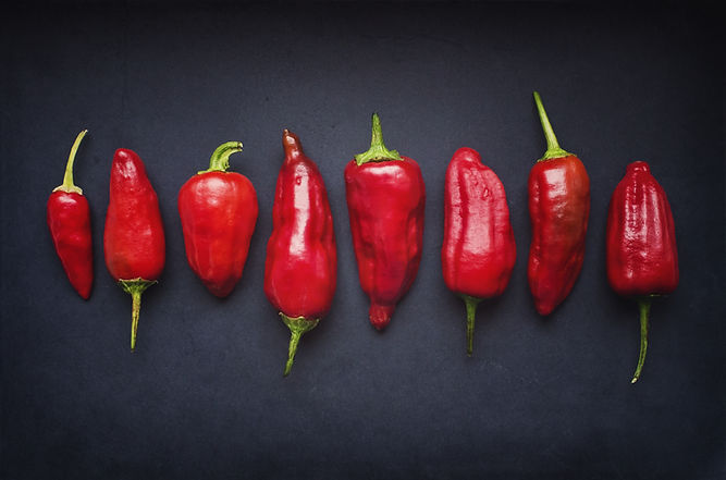 Red Chili Schoten