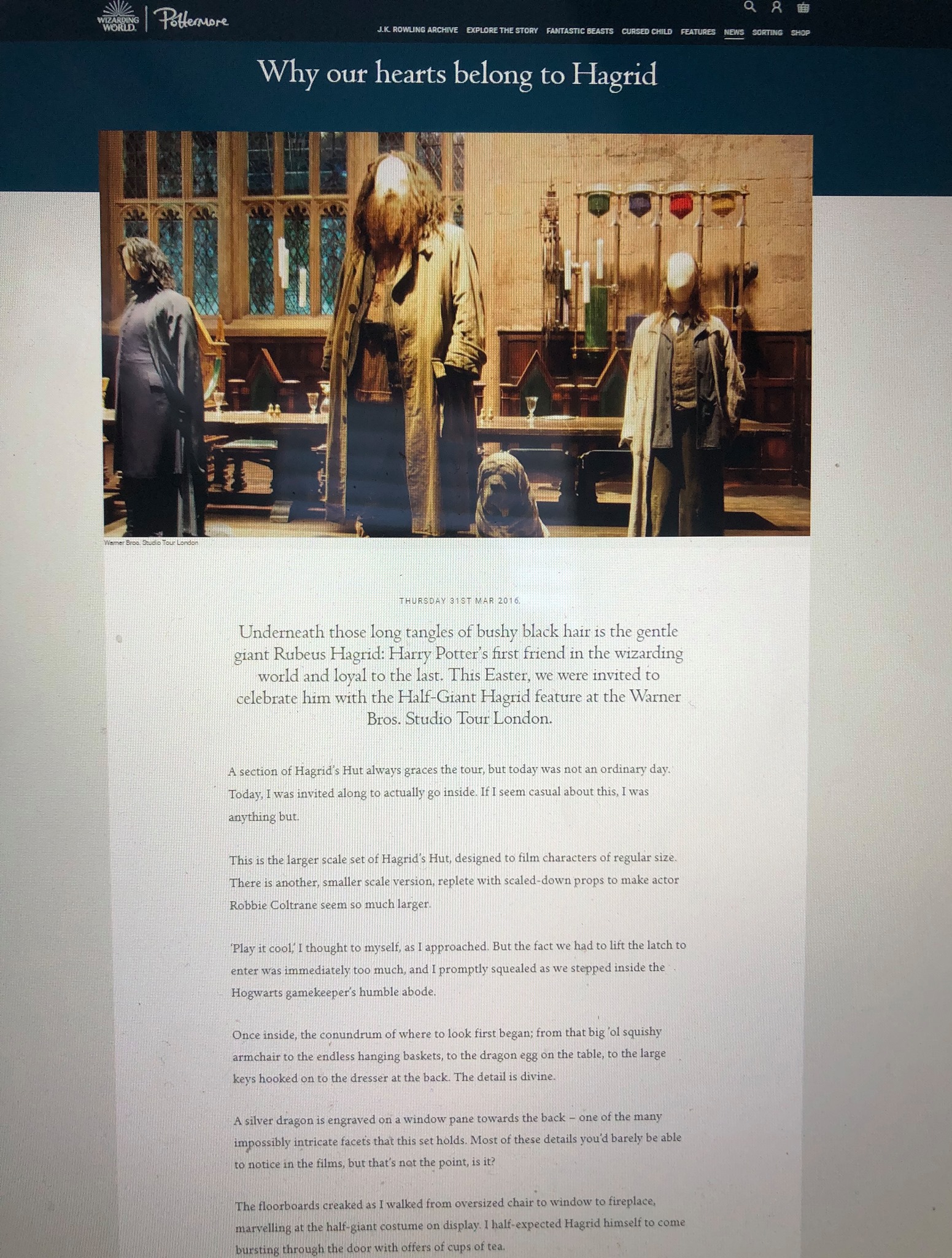 Rubeus Hagrid feature