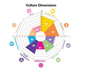Culture Impact Culture Dimensions: Performance, Agility, Engagement, Customer, Leadership, Alignment, Collaboration, People Management, and Communication.