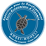 ADSEI-PNG-WEB.png