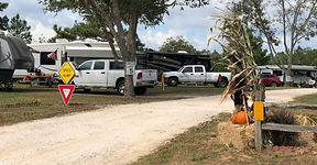IMG_1847.jpeg