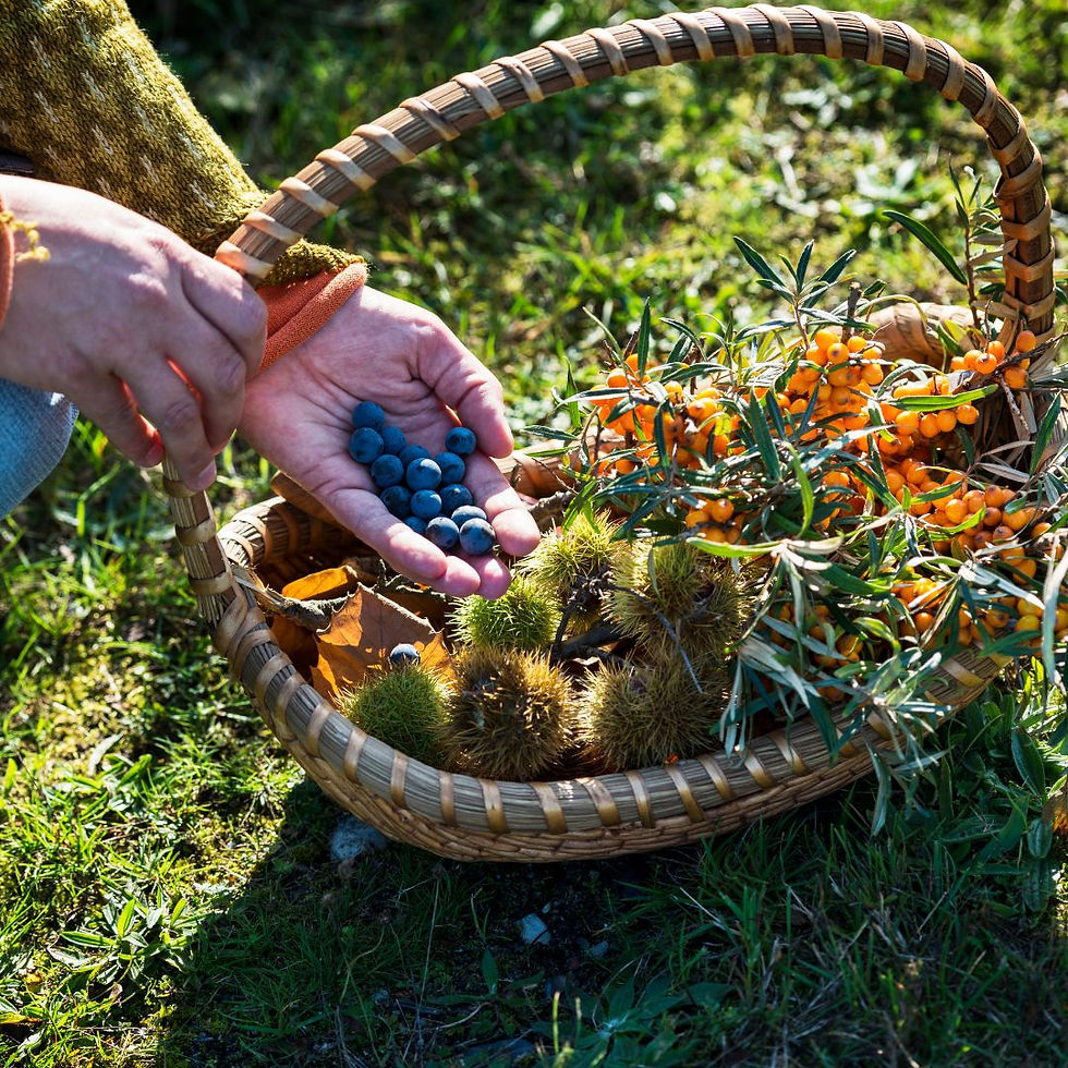 ATELIER : PRODUITS GOURMANDS À BASE DE PLANTES