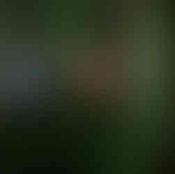 Roman columns in water bathed in green and red light