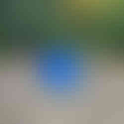 My tent set up in a large grassy plot