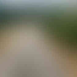 A rural Bosnian road