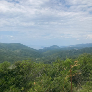 Green hills going down to the sea