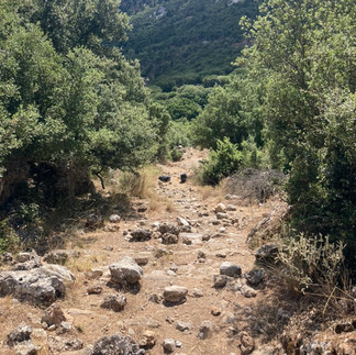 A rock strewn walking path
