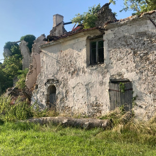 a dilapidated overgrown house