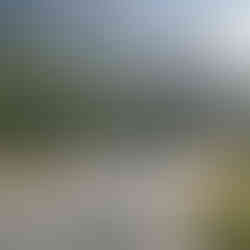 Bright sunrise over a road