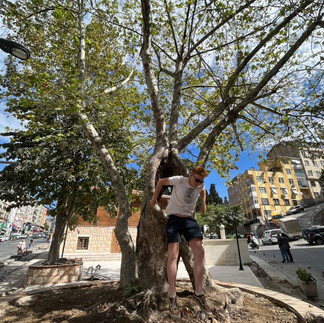Me climbing through a hole in a tree