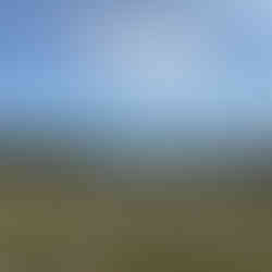 Rocky grass in front of an island spotted sea