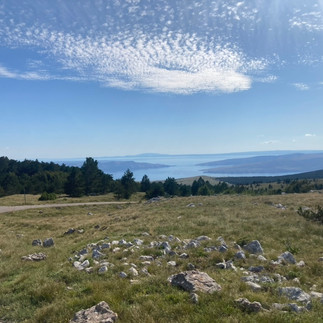 Rocky grass in front of an island spotted sea