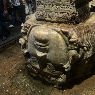 upside down medusa head in water