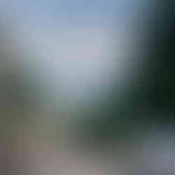 A steep hill down to the coast and Trieste