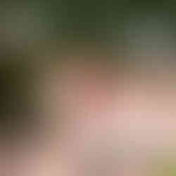 A turkish flag in front of Attaturk's house