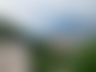 Day 20: Near Mori to Verona, July 21st.