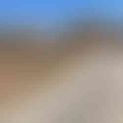 Winding road through brown trees