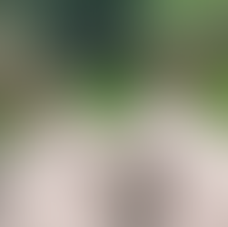 Legs on a wooden lounger