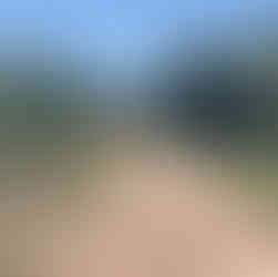 A light brown dirt path