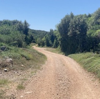 A light brown dirt path