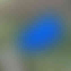 A tent set up in the woods