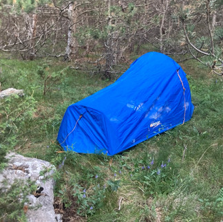 A tent set up in the woods