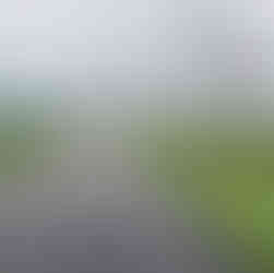 A road surrounded by green bushes and fields